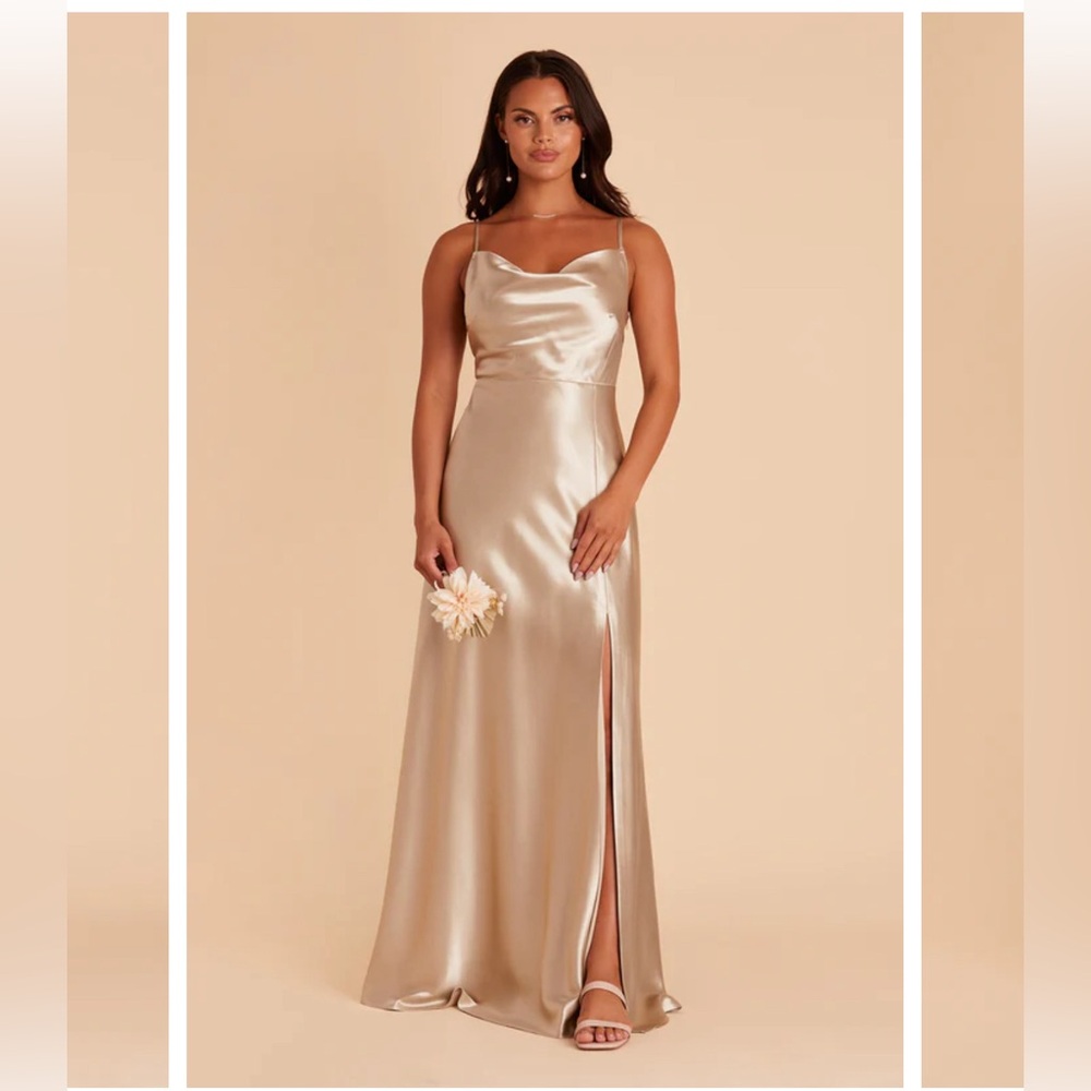 Birdy Grey Satin Slip Gown in Champagne